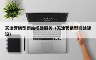 阜阳天津营销型网站搭建服务（天津营销型网站建设）