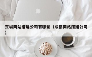阜阳东城网站搭建公司有哪些（成都网站搭建公司）